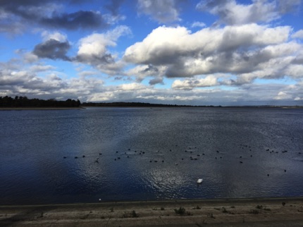 Hanningfield Reservoir
by Ho Wai-On
何蕙安影漢寧田野水塘