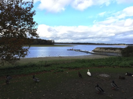 Hanningfield Reservoire fishing boats
by Ho Wai-On
何蕙安影漢寧田野水塘可以租用的漁船