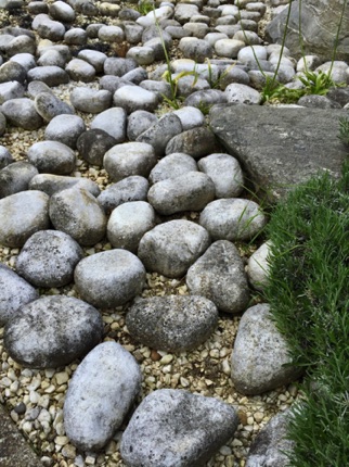 Wat Tyler rocks  石仔花園
Photo by Ho Wai-On 何蕙安影