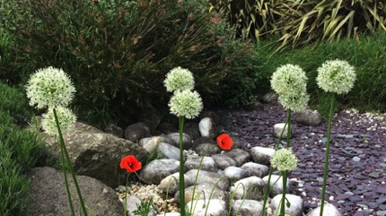 Wat Tyler rock garden  石仔花園
Photo by Ho Wai-On 何蕙安影