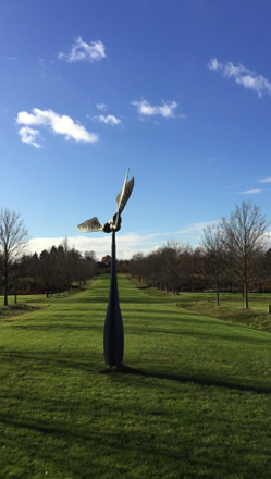 Sycamore seed sculpture at Hyde Hall
海德堂桐樹種子的轉動雕塑
Photo by Ho Wai-On 何蕙安影