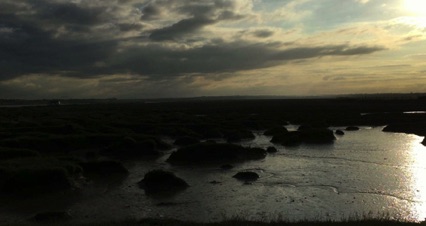 North Fambridge_Shadowy landscape
北范穚 隂暗的景色
Photo: Ho Wai-On 何蕙安攝